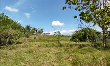 Finca en venta de 15 HAS el Lirio Arraijan (DR)