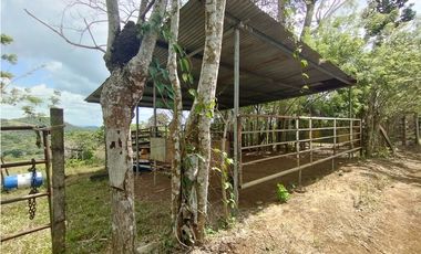 Finca en venta de 15 HAS el Lirio Arraijan (DR)