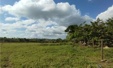 Finca en venta de 15 HAS el Lirio Arraijan (DR)