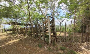 Finca en venta de 15 HAS el Lirio Arraijan (DR)