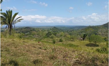 Finca en venta de 15 HAS el Lirio Arraijan (DR)