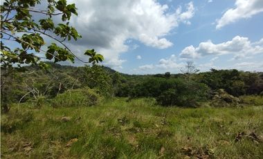 Finca en venta de 15 HAS el Lirio Arraijan (DR)
