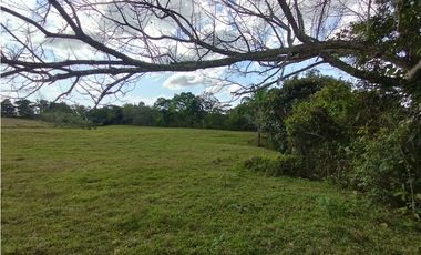 Finca en venta de 15 HAS el Lirio Arraijan (DR)