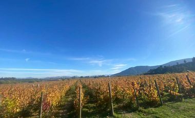 Parcela en venta en SANTA CRUZ
