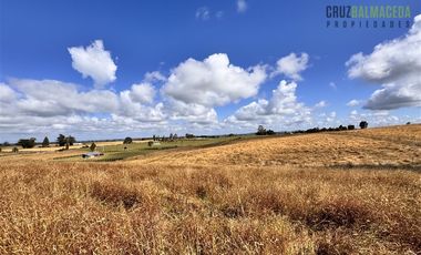 Parcela en Venta en Fundo Llanquihue
