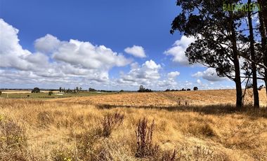 Parcela en Venta en Fundo Llanquihue