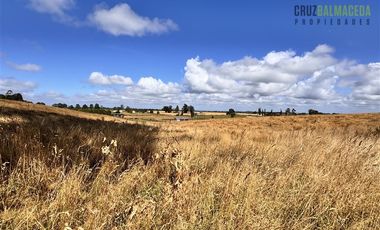 Parcela en Venta en Fundo Llanquihue