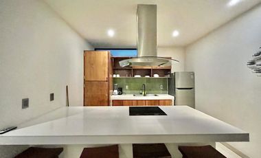 RENTA LARGO PLAZO 2 RECAMARAS2 BEDROOMLUXURY