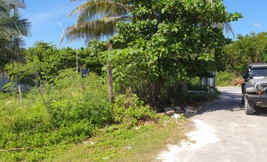TERRENO EN MAHAHUAL A 100M DEL MAR EN VENTA  LAND FOR SALE IN MAHAHUAL, 100M FROM THE SEA