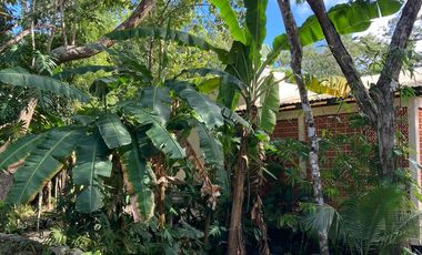 CASA ECOLOGICA EN VENTA EN TULUM A 15 MINUTOS DE LA ZONA URBANA