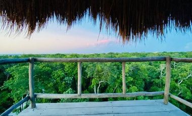 1 BD Loft Ph Private Rooftop with Pool for Sale in TULUM