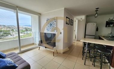 Arriendo departamento detrás Casino Enjoy Coquimbo