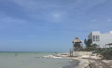 Terreno en la playa de San Benito, Yucatán