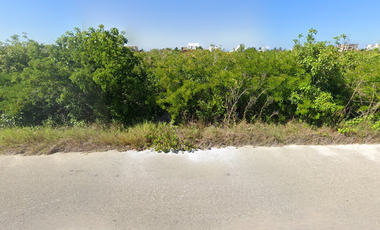 Terreno en la playa de San Benito, Yucatán
