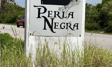 Terreno en la playa de San Benito, Yucatán