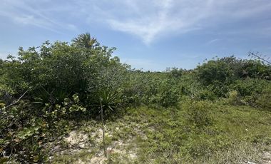 Terreno en la playa de San Benito, Yucatán