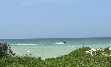Terreno en la playa de San Benito, Yucatán