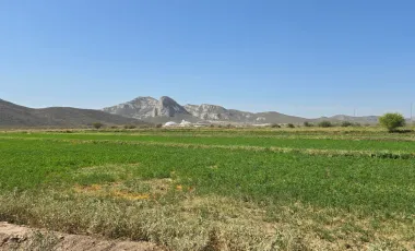 Terreno en Venta en Los Angeles, Lerdo, Durango
