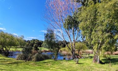 PARCELA DE 6.200M2 CON LAGUNA PROPIA A 5KM DE PTO VARAS