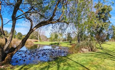 PARCELA DE 6.200M2 CON LAGUNA PROPIA A 5KM DE PTO VARAS