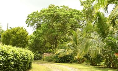 LOTE EN VENTA EN BARANOA
