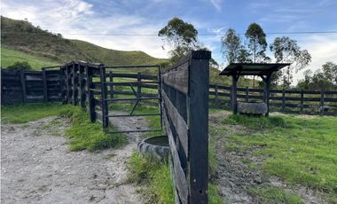 Finca ganadera a 4 km de la union vereda Mesopotamia