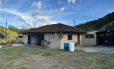 Finca ganadera a 4 km de la union vereda Mesopotamia