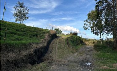 Finca ganadera a 4 km de la union vereda Mesopotamia