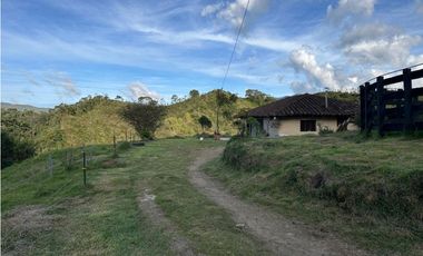 Finca ganadera a 4 km de la union vereda Mesopotamia