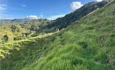 Finca ganadera a 4 km de la union vereda Mesopotamia