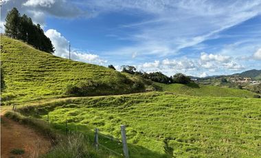 Finca ganadera a 4 km de la union vereda Mesopotamia