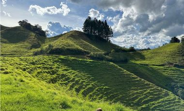Finca ganadera a 4 km de la union vereda Mesopotamia