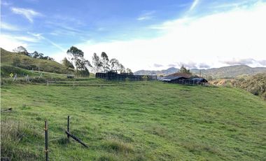 Finca ganadera a 4 km de la union vereda Mesopotamia