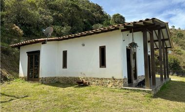 Finca ganadera a 4 km de la union vereda Mesopotamia