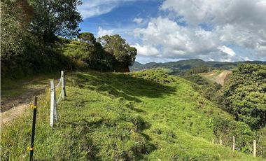 Finca ganadera a 4 km de la union vereda Mesopotamia