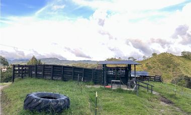 Finca ganadera a 4 km de la union vereda Mesopotamia