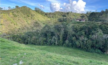 Finca ganadera a 4 km de la union vereda Mesopotamia