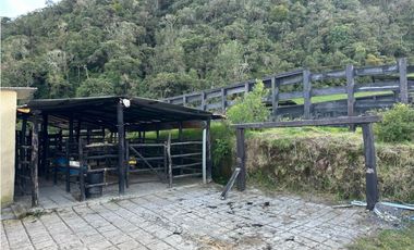 Finca ganadera a 4 km de la union vereda Mesopotamia