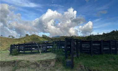 Finca ganadera a 4 km de la union vereda Mesopotamia