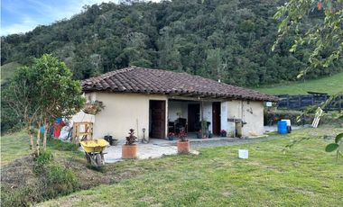 Finca ganadera a 4 km de la union vereda Mesopotamia