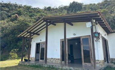 Finca ganadera a 4 km de la union vereda Mesopotamia