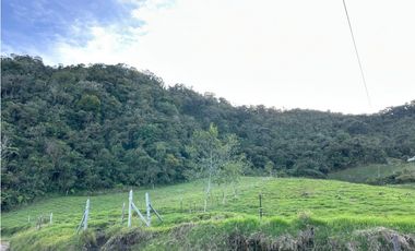 Finca ganadera a 4 km de la union vereda Mesopotamia
