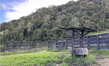 Finca ganadera a 4 km de la union vereda Mesopotamia