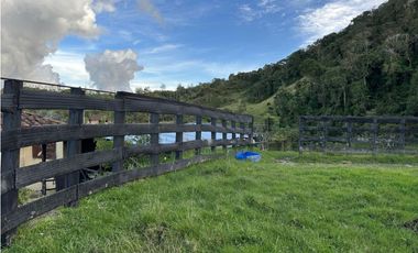 Finca ganadera a 4 km de la union vereda Mesopotamia