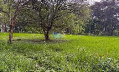 En Venta Lote Campestre en la Vereda Balcones (Restrepo, Meta)