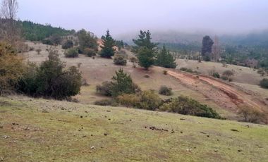 Terreno Comuna Empedrado, Piuco, El Maule