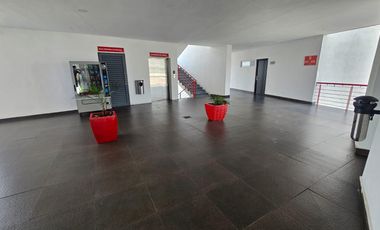 Departamento en Renta tipo Loft  Zona Tec