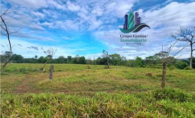 VENDO.FINCA  47HA CON.AGUA Y HUMEDALES.JUAY