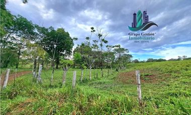 VENDO.FINCA  47HA CON.AGUA Y HUMEDALES.JUAY