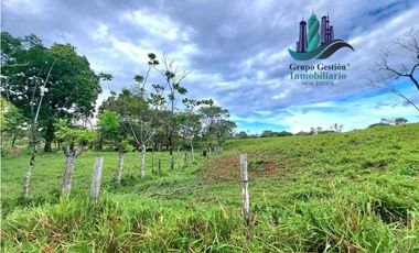 VENDO.FINCA  47HA CON.AGUA Y HUMEDALES.JUAY